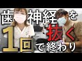【ノーカット動画】神経が壊死？セラミック治療後の根管治療５０分、１回で終了　 ＃根管治療　＃根幹　＃マイクロスコープ　＃dentalmicroscope