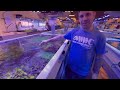 Visiting the world wide corals store and behind the scenes tour