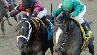 Derby Dreams: Honor Code and Cairo Prince