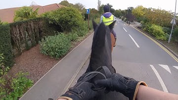 A quick ride through Writtle University College