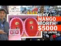 $5,000 Mango at Auction ー but WHY? ★ ONLY in JAPAN