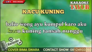 Kacu kuning - karaoke tayub Tulungagung