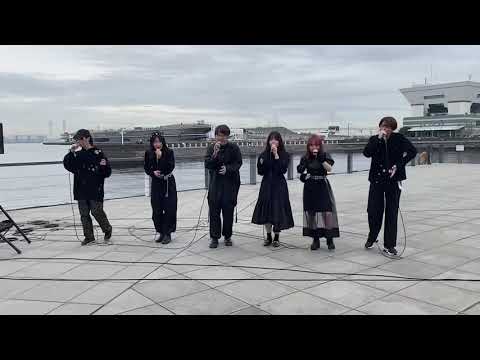 NOAGRI - 魔法の絨毯/ 川崎鷹也 [acapella] (50fes 2023)
