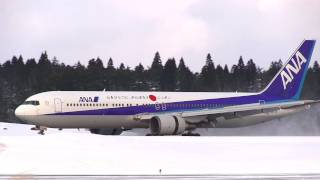 ANA Aviationtag B767 事故経験機 ANA Aviationtag B767 事故経験機