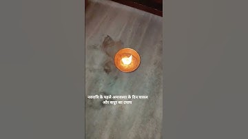 सर्व पितृ अमावस्या के दिन करें चावल और कपूर का उपाय 🙏🏼 प्रदीप मिश्रा जी#trending #radhekripadresses