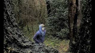 Dark Heart of the Woods