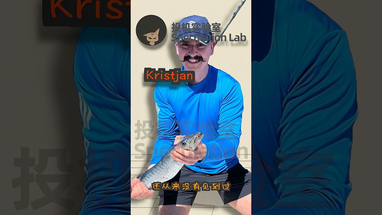 市值大的标的都适用瑞典交易员的突破策略！！8000万的账户赚到了3.6个亿的交易员，瑞典收入最高的交易员Kristjan一直用的突破策略！！#交易策略#