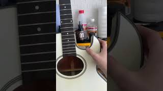 Чем отличается washburn ea 40 от washburn ea 20?