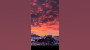 The best way to predict the future is to create it – Abraham Lincoln🐬 #video #shorts