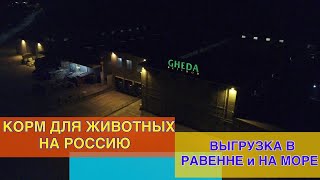 ЧУТЬ НЕ ЗАВАЛИЛСЯ ГРУЗ, МОРЕ В РАВЕННЕ, ЗАГРУЗКА КОРМАМИ ДЛЯ ЖИВОТНЫХ PET FOOD GHEDA НА РОССИЮ.