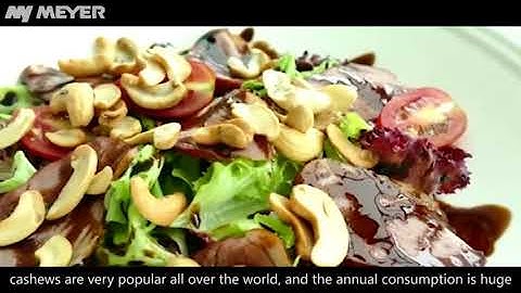 MEYER optical sorting - cashew optical sorter