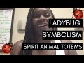 Ladybug Symbolism:: Spirit Animal Totems