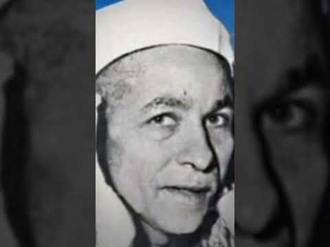 الشيخ منصور الشامي الدمنهوري