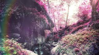 RaΔg - Magick Cirkle : The Oak-Knower
