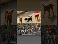 Private Job v/s Govt.Job Reality 💯😂|#viral #memes #memeshorts #motivation