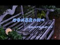 雨音はショパンの調べ/小林麻美 横浜イングリッシュガーデン Yokohama English Garden 雨音は薔薇の調べ/ 雨に濡れるバラ とクレマチス Rose&Clematis 4K