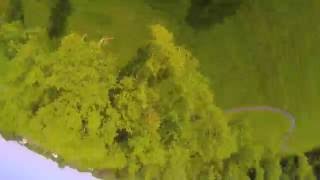 Qav210 Tree Trouble