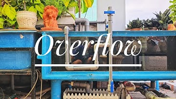 Fish 214: Hướng dẫn cách mồi nước và khắc phục những lỗi thường gặp của Overflow