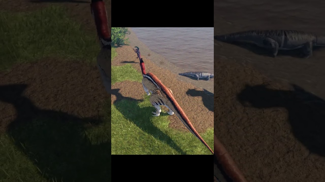 10 out of 10 game (fallen ashes) 