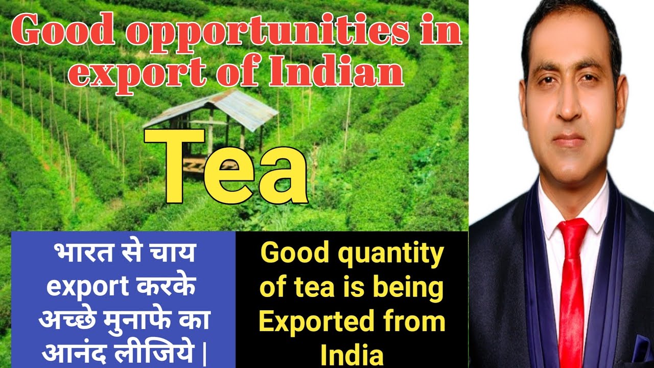 how to export tea from india/benefits of tea export from india YouTube