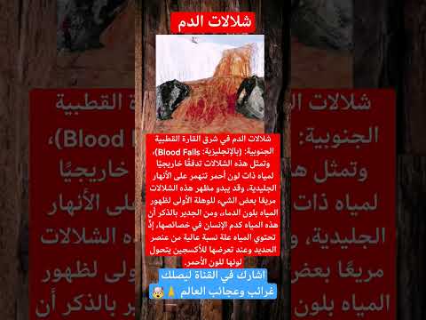 شلالات الدم غرائب عجائب المغرب الجزائر السعودية لايك اشتراك