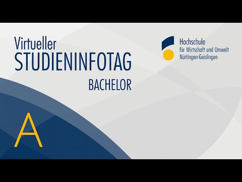 Studieninfotag Bachelor der HfWU – Stream A