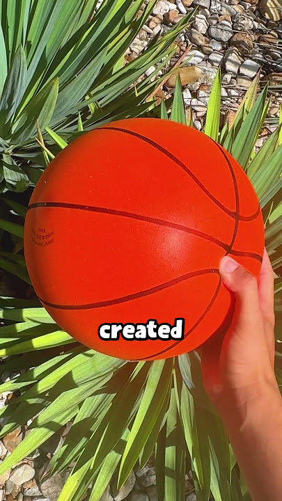 what Silent Basketball looks like