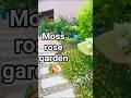 Moss rose garden 🏡#shorts #ourplants