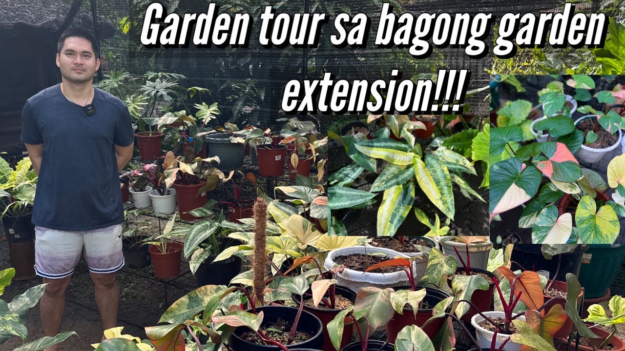 GARDEN TOUR SA BAGONG GARDEN EXTENSION