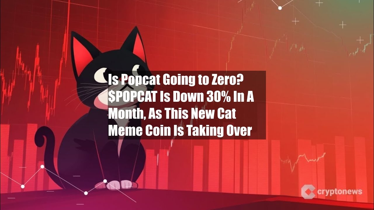Is Popcat Going to Zero? $POPCAT Is Down 30% In A Month, As This - YouTube