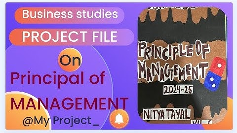 Fayol 14 Principal of Management Project file class 12 on Dominos Business studies with pdf