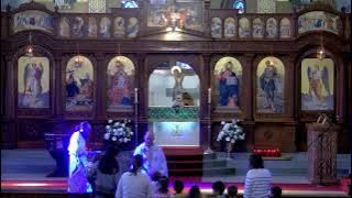 Orthros & Divine Liturgy - Artemios the Great Martyr of Antioch; Gerasimos of Cephalonia