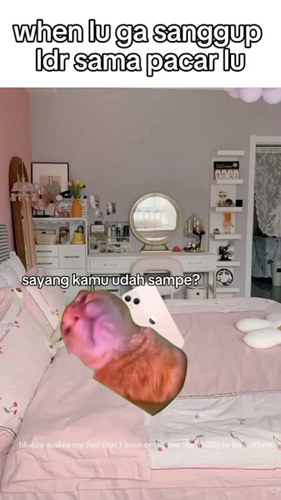 Dimana elu gak sanggup LDR sama pacar sendiri .......!!! #memecat #cat #capcut #kucing #memengakak
