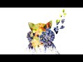 Adobe Express Double Exposure Effect. Black and White Duotone Effect. Screen Blend Mode. Animation