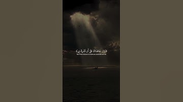 ووصينا الإنسان بوالديه إحسانا ♥️ #قران_كريم #quran #المصحف #اكسبلور #تلاوه #تلاوة_خاشعة