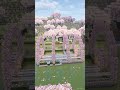 Minecraft:Cherry Garden Tutorial Time lapse build🌸#youtubeshorts #minecraft #shortvideo #trending