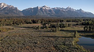 Solitude Vista - Lot 84