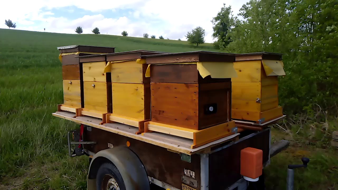Купить прицеп для перевозки пчел. Пчелоприцеп на 20 ульев. Прицеп пчелопавильон. Берендей прицеп для пчел. Пчелопавильон прицеп для пчел.