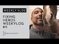 Will Heros recover? | Begijnhoeve | Weekvlog #11