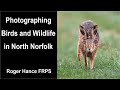 Photographing Birds and Wildlife in North Norfolk with the OM1