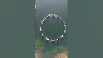 Life is a collection of perfect circles and beautiful patterns. 🌍✨ #ai #explore #aiart #relatable 📈