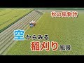 【秋の風物詩】空から見る稲刈り風景　千葉県産コシヒカリ