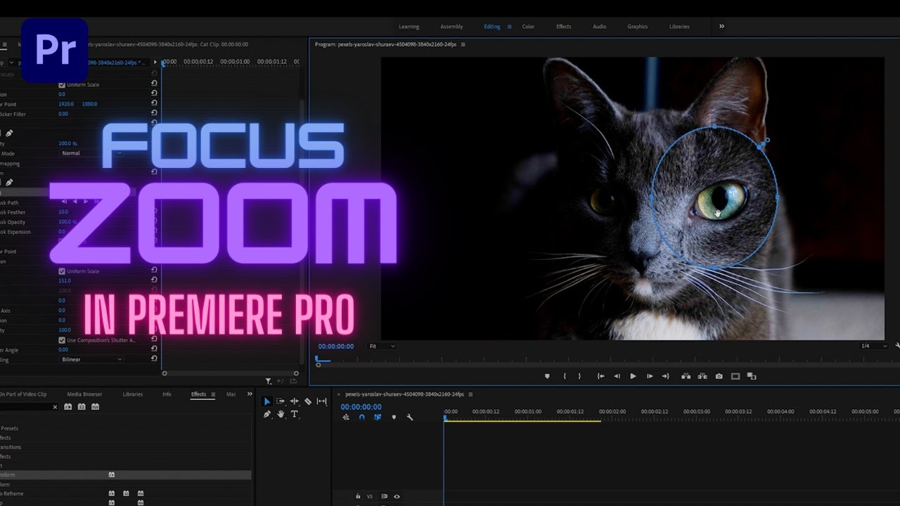 Premiere Pro Tutorial - How to Zoom in On Part of Video Clip - YouTube