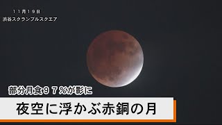 夜空に浮かぶ赤銅の月