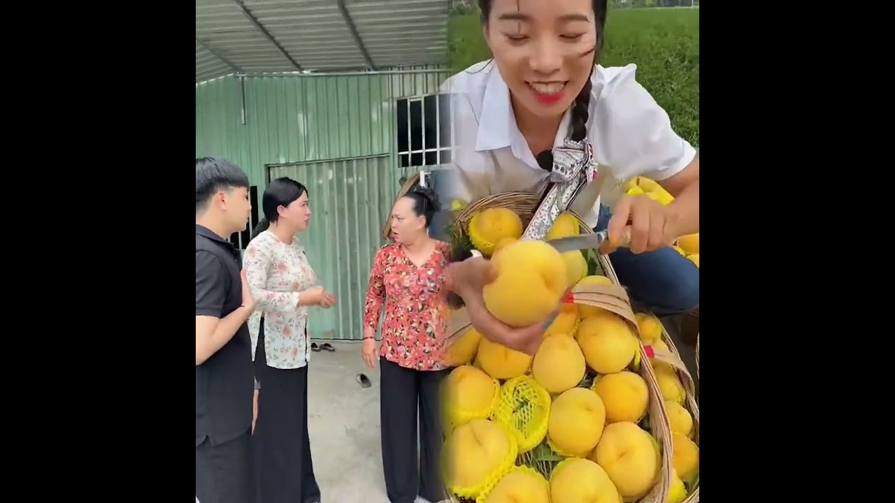 🤣👌👌👌2025 pov Must-Watch Crazy Clips Compilation #humor #fypシ #pov #fyp #foryou 😍😜