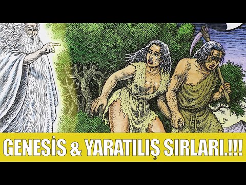 Video: Genesis Nedir?