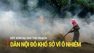 Ngoại thành đốt rơm rạ, nội thành "khốn khổ" vì ô nhiễm | Truyền hình Quốc hội Việt Nam