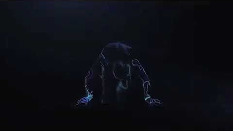 MEC Introduction Video