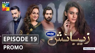 Zebaish | Episode 19 | Promo | Digitally Powered By Master Paints | HUM TV | Drama
