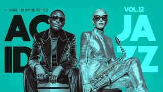 The Best Acid Jazz Instrumentals Vol.12 | Jazzy Funk Grooves for Productive Mood